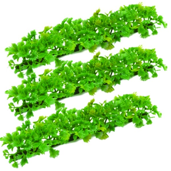 ΧR 35 διακοσμητική πρασινάδα - Mαϊντανός ICS-102.0100