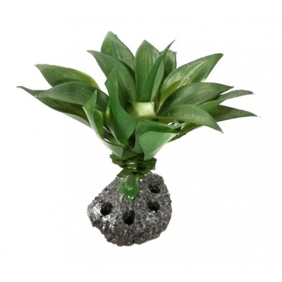 ΔΙΑΚΟΣΜΗΤΙΚΟ ΔΕΝΤΡΑΚΙ ΕΝΥΔΡΕΙΟΥ 11CM