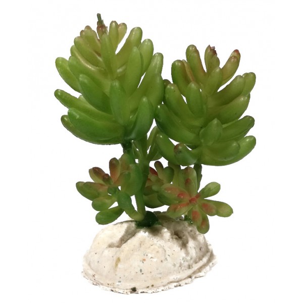 ΔΙΑΚΟΣΜΗΤΙΚΟ ΔΕΝΤΡΑΚΙ ΕΝΥΔΡΕΙΟΥ 9CM