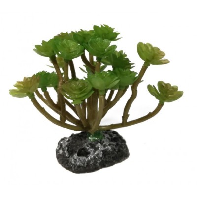 ΔΙΑΚΟΣΜΗΤΙΚΟ ΔΕΝΤΡΑΚΙ ΕΝΥΔΡΕΙΟΥ 9CM