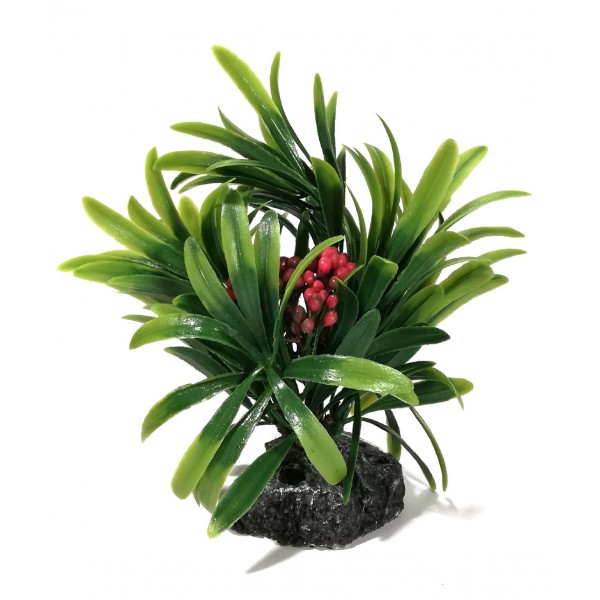 ΔΙΑΚΟΣΜΗΤΙΚΟ ΔΕΝΤΡΑΚΙ ΕΝΥΔΡΕΙΟΥ 13CM