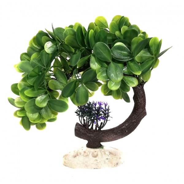 ΔΙΑΚΟΣΜΗΤΙΚΟ ΔΕΝΤΡΑΚΙ ΕΝΥΔΡΕΙΟΥ 19CM