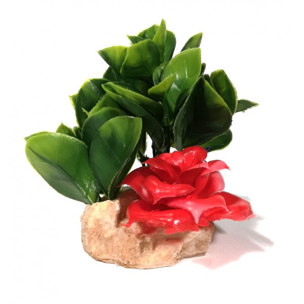 ΔΙΑΚΟΣΜΗΤΙΚΟ ΔΕΝΤΡΑΚΙ ΕΝΥΔΡΕΙΟΥ 9CM