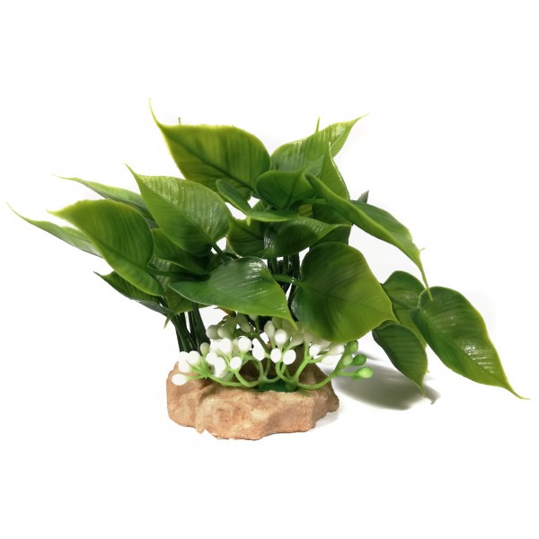 ΔΙΑΚΟΣΜΗΤΙΚΟ ΔΕΝΤΡΑΚΙ ΕΝΥΔΡΕΙΟΥ 10CM