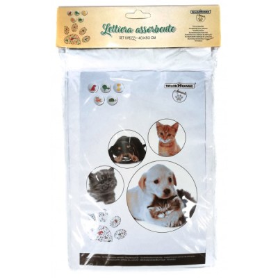 ΠΑΝΕΣ ΔΑΠΕΔΟΥ ΕΚΠΑΙΔΕΥΣΗΣ ΣΚΥΛΟΥ 8027501071300