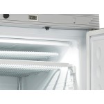 Καταψύκτης TN 390 - 350lt