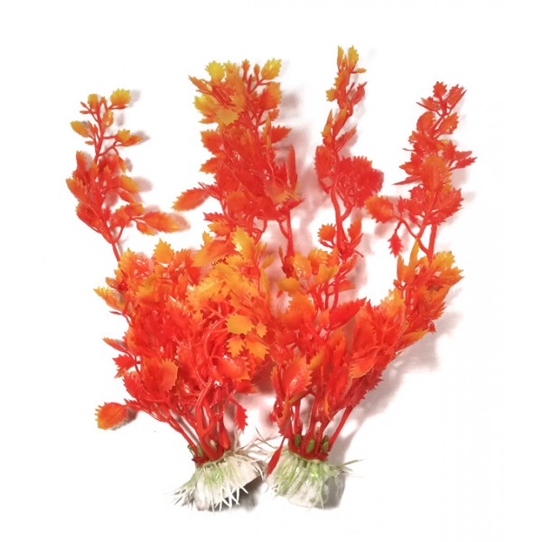 ΔΙΑΚΟΣΜΗΤΙΚΑ ΦΥΤΑ ΕΝΥΔΡΕΙΟΥ 2ΤΜΧ 19CM