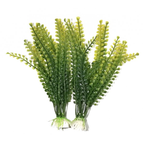 ΔΙΑΚΟΣΜΗΤΙΚΑ ΦΥΤΑ ΕΝΥΔΡΕΙΟΥ 2ΤΜΧ 19CM