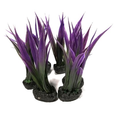 ΔΙΑΚΟΣΜΗΤΙΚΑ ΦΥΤΑ ΕΝΥΔΡΕΙΟΥ 6ΤΜΧ 9CM