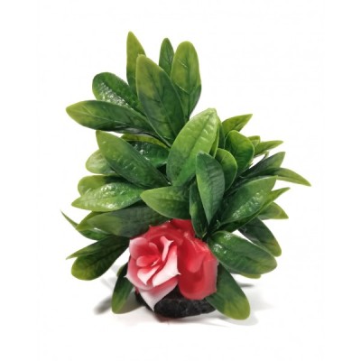 ΔΙΑΚΟΣΜΗΤΙΚΟ ΔΕΝΤΡΑΚΙ ΕΝΥΔΡΕΙΟΥ 14CM