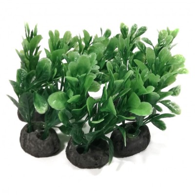 ΔΙΑΚΟΣΜΗΤΙΚΑ ΦΥΤΑ ΕΝΥΔΡΕΙΟΥ 6ΤΜΧ 6CM