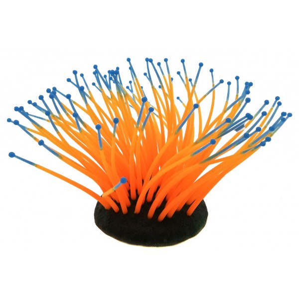 ΔΙΑΚΟΣΜΗΤΙΚΟ ΦΥΤΟ ΕΝΥΔΡΕΙΟΥ 10CM