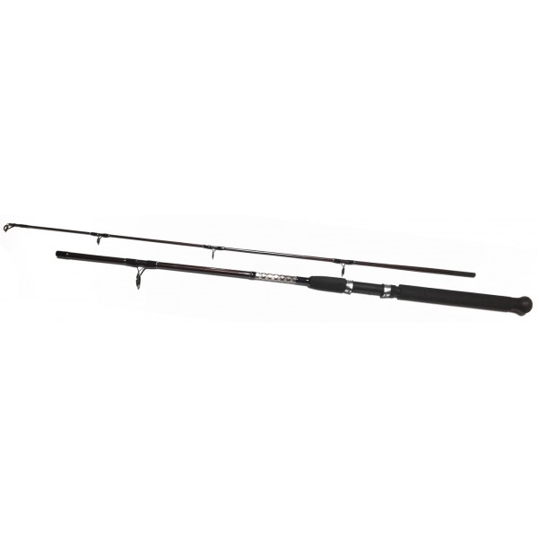 ΚΑΛΑΜΙ ΨΑΡΕΜΑΤΟΣ 1.70CM #9865436