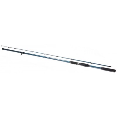 ΚΑΛΑΜΙ ΨΑΡΕΜΑΤΟΣ 2.70CM 30000-5