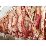 Ψυγείο Κρεάτων QM 148