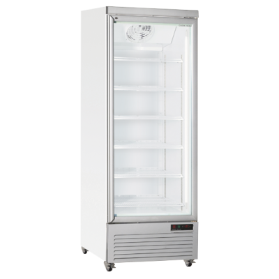 Βιτρίνα συντήρησης RCG 750 600lt