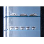 Βιτρίνα ζαχαροπλαστικής VRP 604B 600lt (Μαύρη)