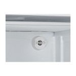 Καταψύκτης CNX 613 - 600lt (Ενεργειακής κλάσης Α)