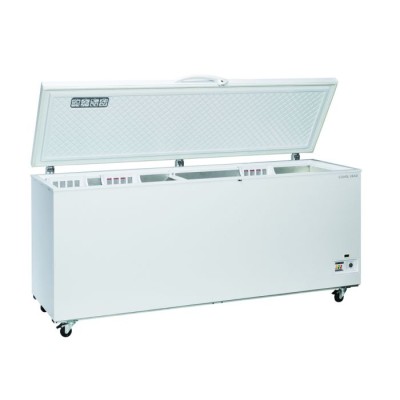 Τυφλός καταψύκτης CF 708 700lt