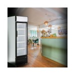 Dynamic DB-420C βιτρίνα αναψυκτικών ψυχόμενη 420Lt με 4 ράφια ICS-300.0930