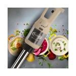 Fama 650VV κομπλέ Μίξερ Χειρός με άξονα 400mm-Ραβδομπλέντερ ICS-061.0020