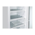 Όρθιος καταψύκτης TNG 390 300 lt.