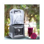 Dynamic TIGERGB-A300 Μπλέντερ Αθόρυβο, σε ασημί χρώμα με κανάτα ICS-300.0808