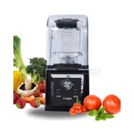 Dynamic TIGER GB-A300 Μπλέντερ σε μαύρο χρώμα, αθόρυβο, με κανάτα ICS-300.0810