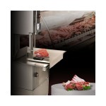 Dynamic HLS 2400 Πριονοκορδέλα με βάση ICS-300.0258