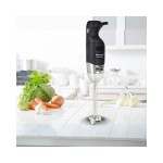 Dynamic IB-270TV Μίξερ Χειρός κομπλέ - Ραβδομπλέντερ ICS-300.0124