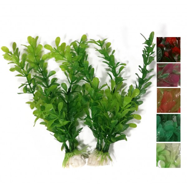 ΔΙΑΚΟΣΜΗΤΙΚΑ ΦΥΤΑ ΕΝΥΔΡΕΙΟΥ 2ΤΜΧ 19CM