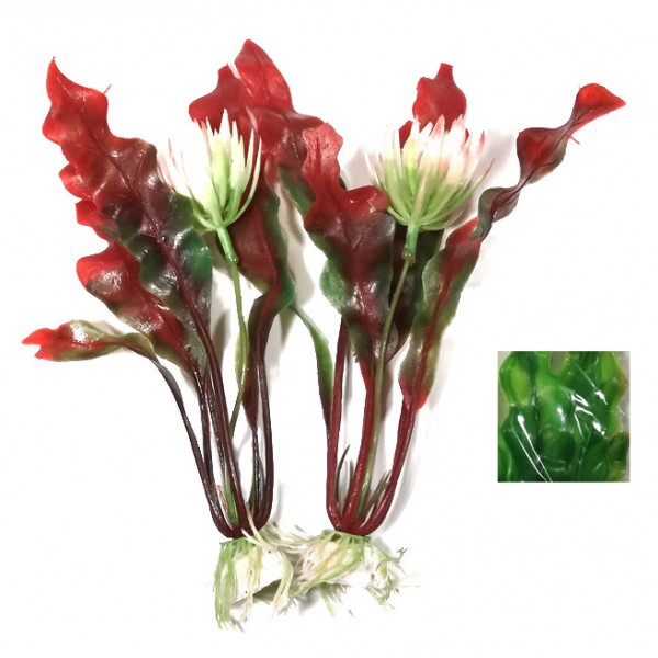 ΔΙΑΚΟΣΜΗΤΙΚΑ ΦΥΤΑ ΕΝΥΔΡΕΙΟΥ 2ΤΜΧ 19CM