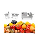 Πολτοποιητής Cutter μηχάνημα KATANA-20VV για κρέας και λαχανικά ICS-020.0416