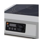 Phoenix GR-A100 Επαγωγική εστία επιφάνειας ψησίματος 28Ø ICS-300.3000