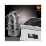 Phoenix GR-A200 Επαγωγική εστία επιφάνειας ψησίματος 30Ø ICS-300.3010