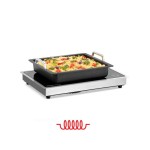 Eπαγωγική θερμαινόμενη επιφάνεια 490mm (drop in) 114367 | IW10-EB